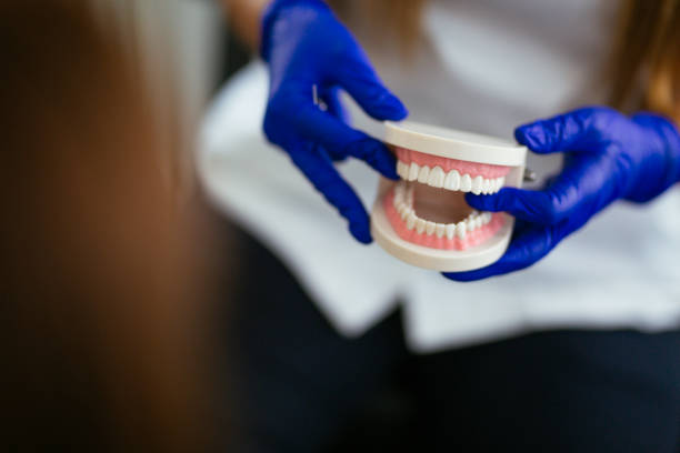  Lake Holiday, IL Holistic Dental Care Services Pros